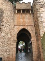 Půdorys ubytování Estudios Ramón Llull