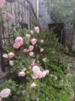 A garden outside B&B Alle Ortensie Blu