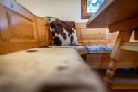 A bed or beds in a room at Kranach 5 - Wohnen beim Wein