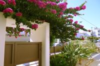 Zahrada ubytování Maria & Manos Guest House, Agios Onoufrios beach