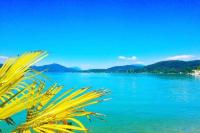 a view of the water with a palm tree in the foreground at Evita Wörthersee in Krumpendorf am Wörthersee