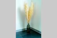 a vase with grass in a corner of a room at La Villetta G Blotzheim - Appartement de Standing in Blotzheim