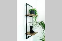 a black cat sitting on a shelf next to a plant at La Villetta G Blotzheim - Appartement de Standing in Blotzheim