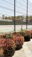 Tennis and/or squash facilities at MNG-Apart Playa Americas Honda or nearby