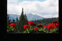 a group of red flowers in a window with mountains at Manor Ski Hotel in Predeal
