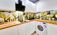 Kuchyňa alebo kuchynka v ubytovaní LAGUNA Apartament Polanica Residence 12