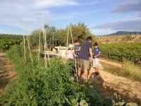 Hosté ubytování Casa Rural Ca Lazaro