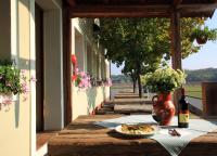 Příroda nedaleko hotelu