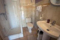 a bathroom with a toilet and a shower and a sink at Gites Le Clos de Saires in Saires