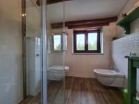 Koupelna v ubytování Villa Motovun 2129