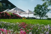 Zahrada ubytování Hotel Landhaus Höpen