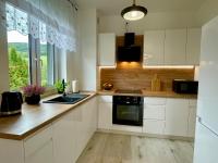 Kuchnia lub aneks kuchenny w obiekcie Apartament Jak Marzenie