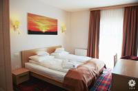 Una habitación de hotel con una cama y una ventana. en Hotel Leon &amp; Spa, en Arad