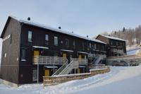 Ski Lodge Funäsdalen v zimě