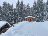 Obiekt Wasserfallhütte Saalbach zimą