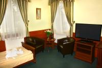 Televízia a/alebo spoločenská miestnosť v ubytovaní Hotelik & Restauracja Amber