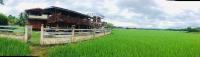 Půdorys ubytování Nan View Farmer Resort