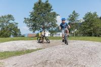 Hosté ubytování Chalets am Badesee Lassing