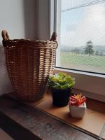 a window sill with two plants and a basket at La Pause in Plombières