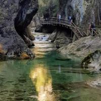 Príroda v okolí hotela