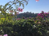 Ein Garten an der Unterkunft Les Grimaldines - Maison d&#39;Hôtes