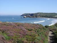 a beach with purple flowers next to the ocean at les volets bleus in Camaret-sur-Mer