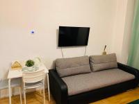 TV a/nebo společenská místnost v ubytování Charles Square Prague Apartment