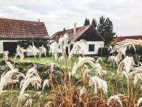 Ogród w obiekcie Venkovská usedlost Horšice