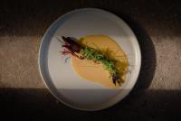 een wit bord met een stukje eten erop bij Paradero Todos Santos - Exclusive experiences included in Todos Santos