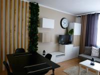 Televízia a/alebo spoločenská miestnosť v ubytovaní Apartament BB Czarny potok