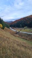 Gallery image of Căsuța din pădure de la Câmpu lui Neag in Cîmpu lui Neag