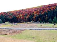 Gallery image of Căsuța din pădure de la Câmpu lui Neag in Cîmpu lui Neag