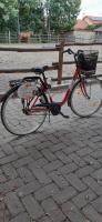 Jazda na bicykli v okolí ubytovania Kenguru Panzió