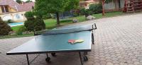 Stolný tenis v ubytovaní Kenguru Panzió alebo v jeho okolí