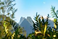 ゲストハウスから撮影された、または一般的な山の景色