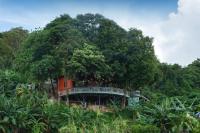 un puente en medio de un bosque con un árbol en Memory Karon Resort, en Karon Beach