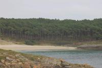 Táj Show holiday homes közelében