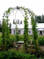 a garden with an arch with a table and chairs at Tertin Kartano in Mikkeli