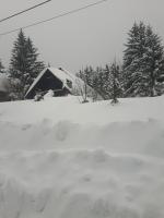 Gorska Vila v zime