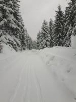 Gorska Vila v zime