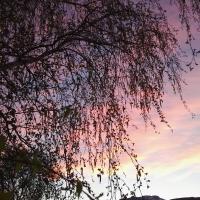 Plán poschodí v ubytovaní B&B La Montagna Rosa