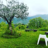 Príroda v okolí of the bed and breakfast