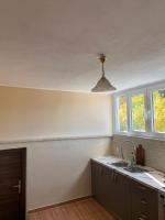 A kitchen or kitchenette at FOREST VIEW ELISAVET