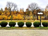 Ogród w obiekcie Hotel Delicjusz