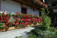 A garden outside Migglwieshof