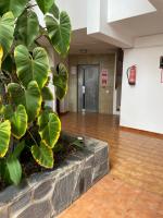 Plan piętra w obiekcie 1 Bedroom Apartment with stunning sea view