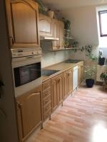 Kuchyň nebo kuchyňský kout v ubytování Apartmán u Míši