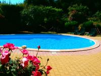 a blue swimming pool with pink flowers in front of it at Cit&#39;Hotel Hotel Prime - A709 in Saint-Jean-de-Védas