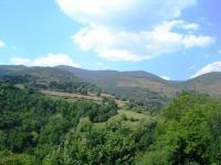 Príroda v okolí hotela