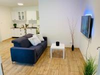 TV a/nebo společenská místnost v ubytování Apartmány Jetřichovice - České Švýcarsko